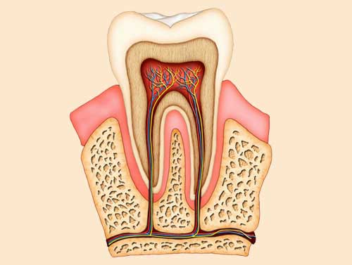 Parth Dental Clinic: Expert Root Canal Treatment in Ludhiana